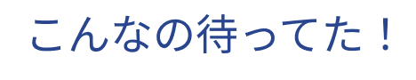 こんなの待ってた!